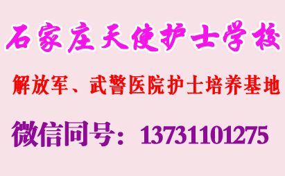 石家庄天使护士学校春季招生有临床医学专业吗？