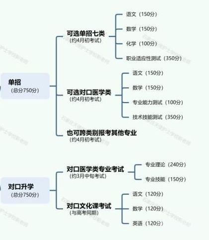 石家庄天使护士学校单招升学和对口高考升学的区别？